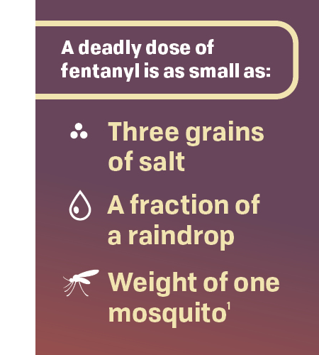 A deadly dose of fentanyl is as small as three grains of salt, a fraction of a raindrop or the weight of one mosquito. 