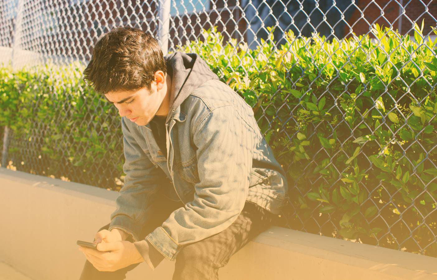 Male teen sitting outside, looking at cell phone.