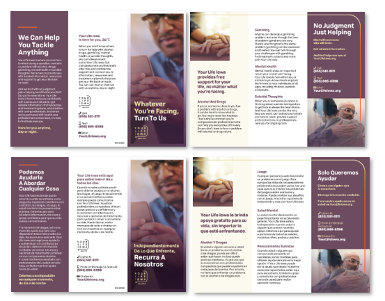 Image of all the pages of both the English and Spanish YLI Brochure