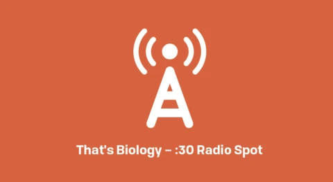 Radio antenna tower icon over the text of the radio spot title