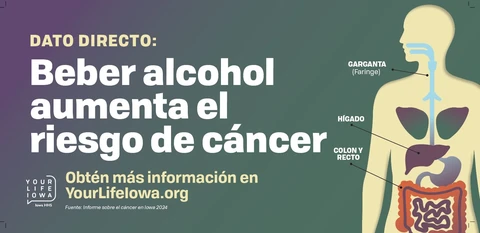 Cancer & Alcohol Straight Facts | Billboards | Spanish
